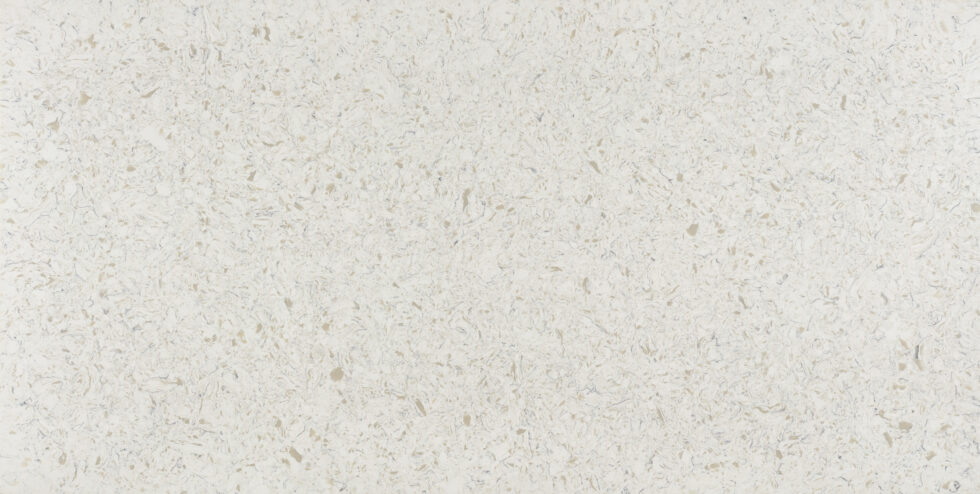 Arizona Tile Seashell-N Quartz - Evolution Design