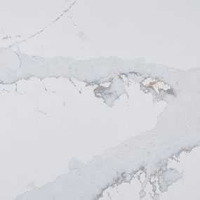 calacatta-azai-quartz