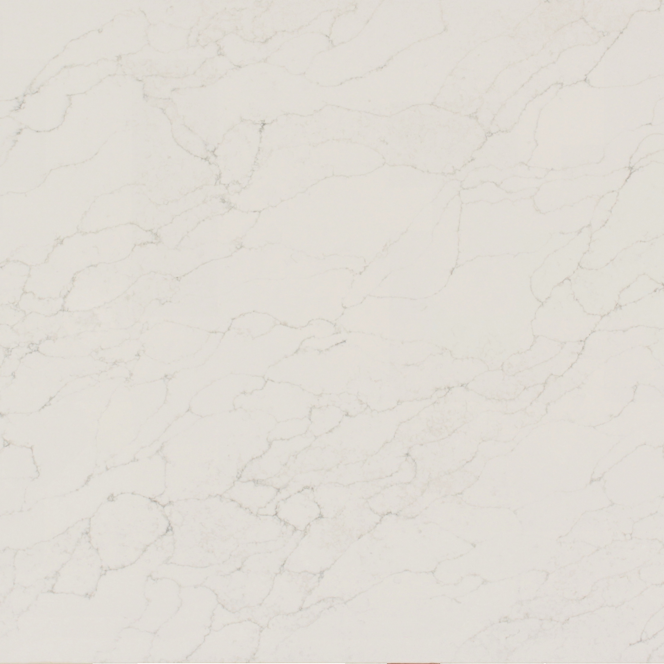 Renoir (quartz group 2 last slab)_Cropped